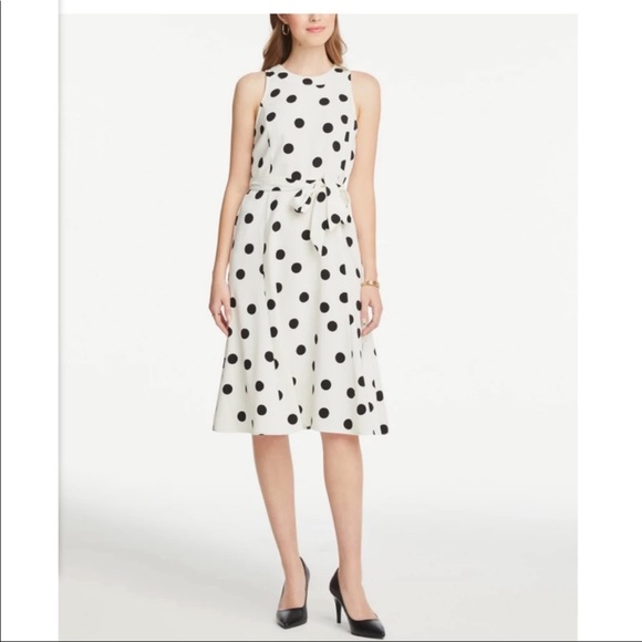 Ann Taylor Factory polka dot dress size 6 - Picture 2 of 6